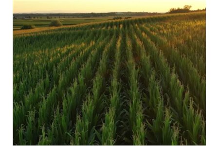 6 ways AI is making a difference in the world