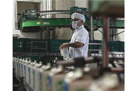 A Costa Rican dairy cooperative turns AI agents into coworkers